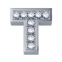 Charm Elements in Oro bianco Diamante DCHF3319T.001